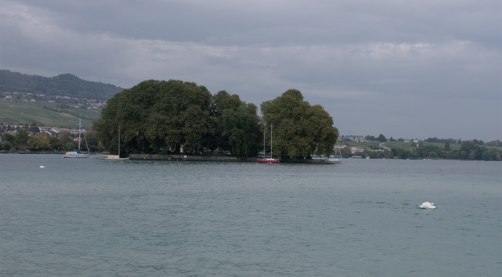 湖边人剧照的剧照