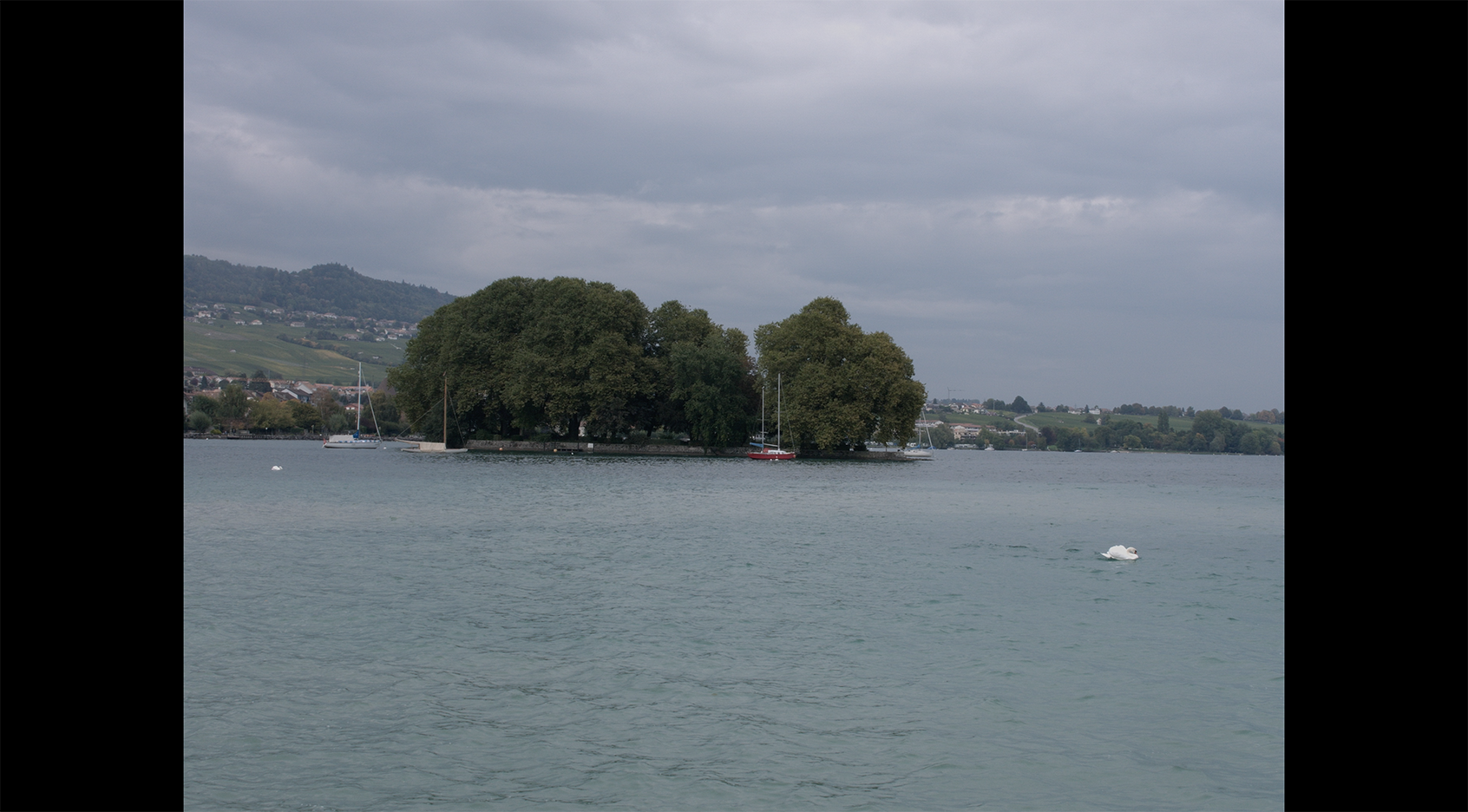 湖边人剧照的剧照