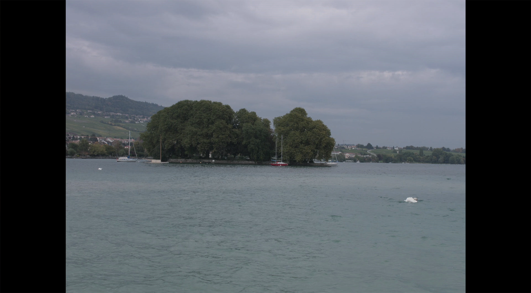 湖边人剧照的剧照