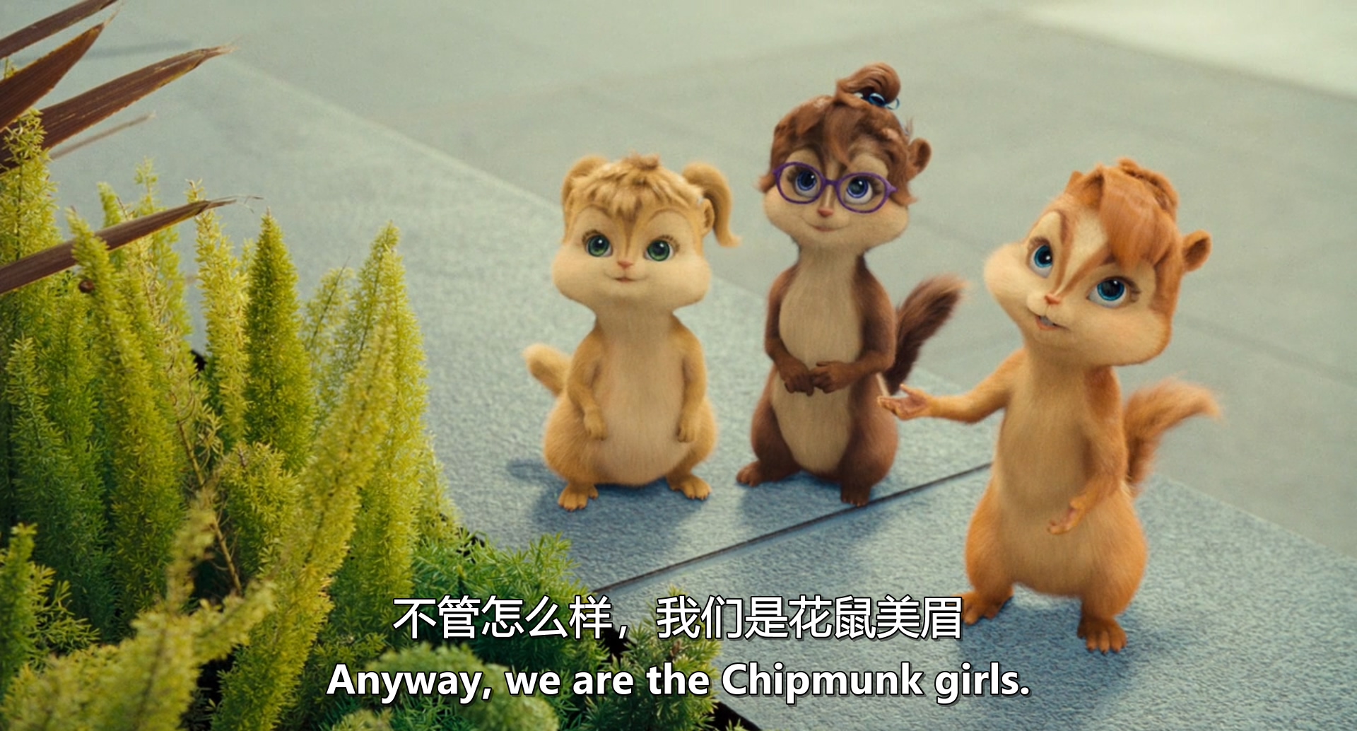 鼠来宝：明星俱乐部剧照的剧照