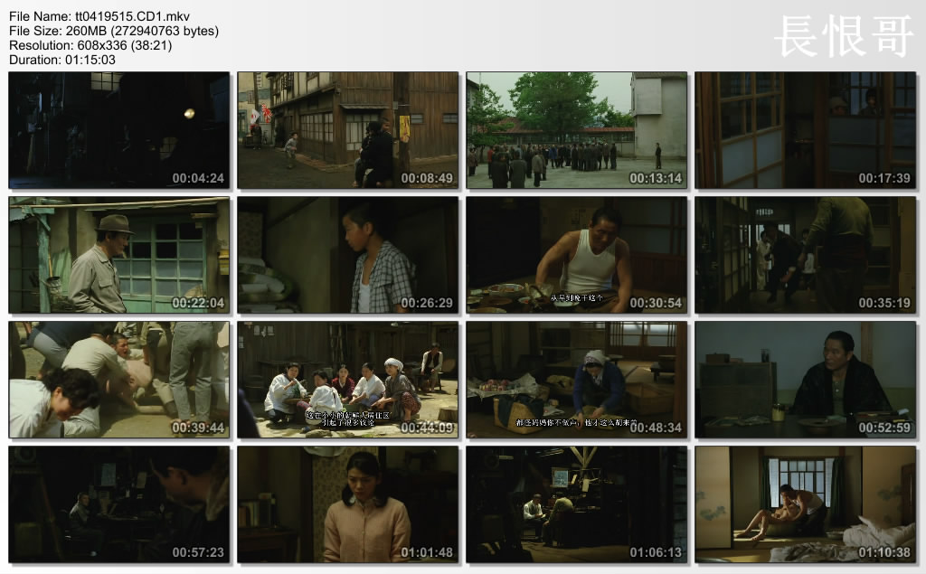 血与骨剧照的剧照