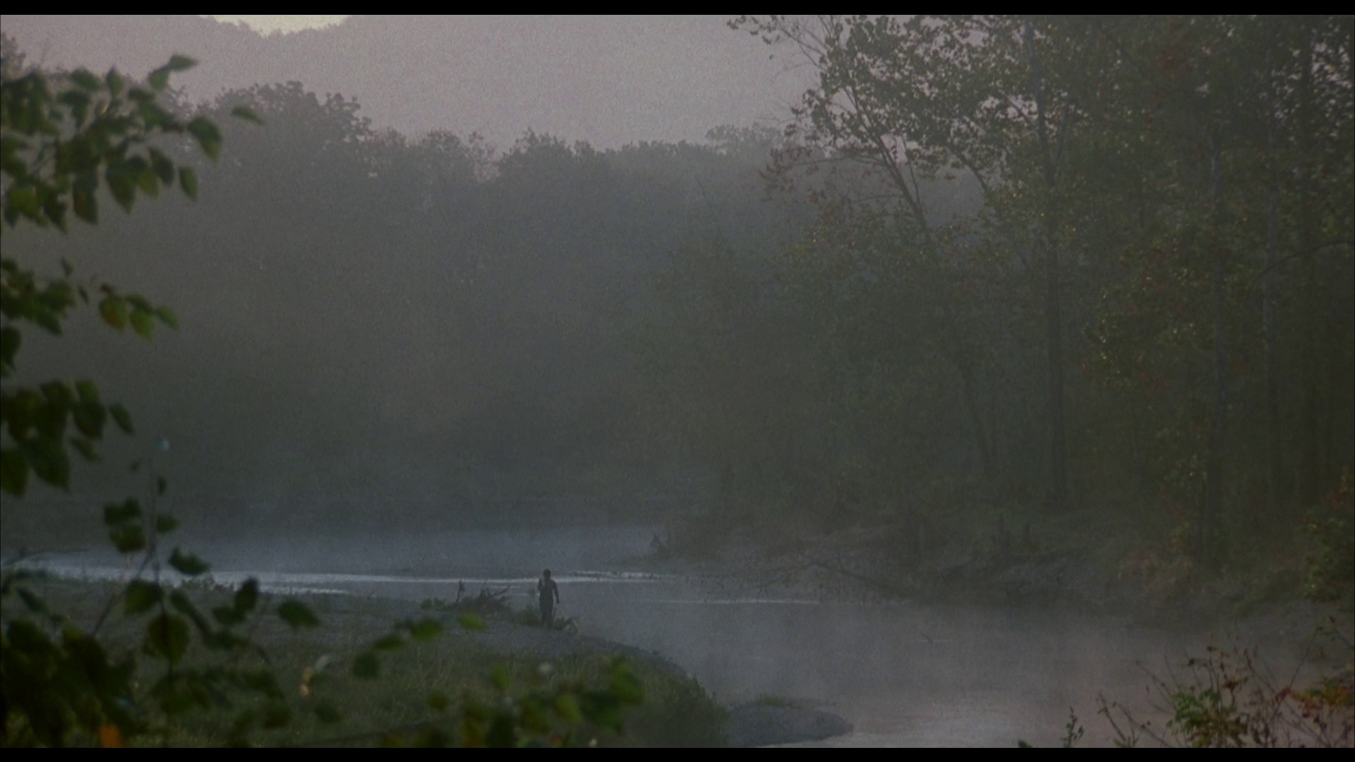红色羊齿草的故乡剧照的剧照