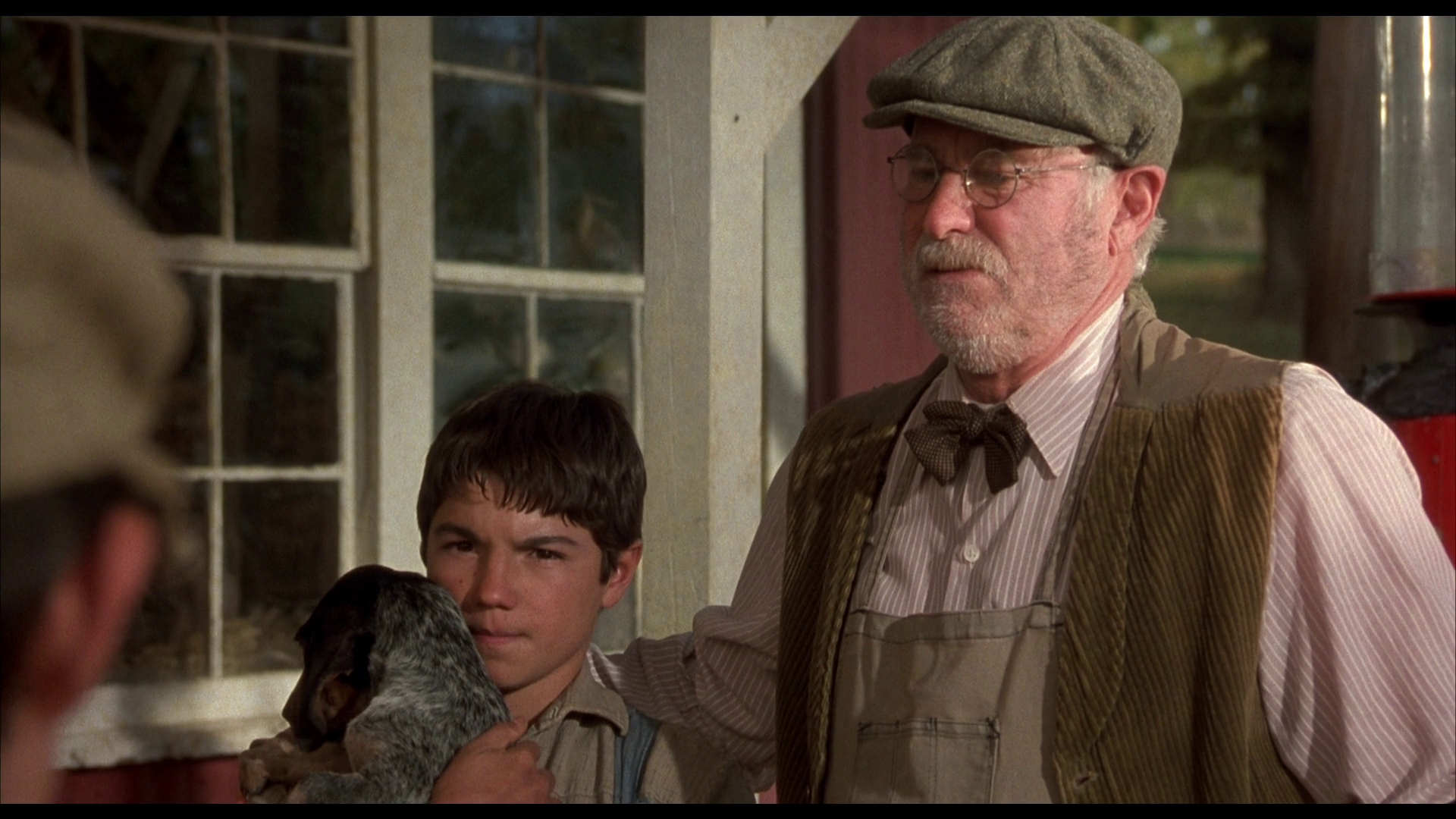 红色羊齿草的故乡剧照的剧照