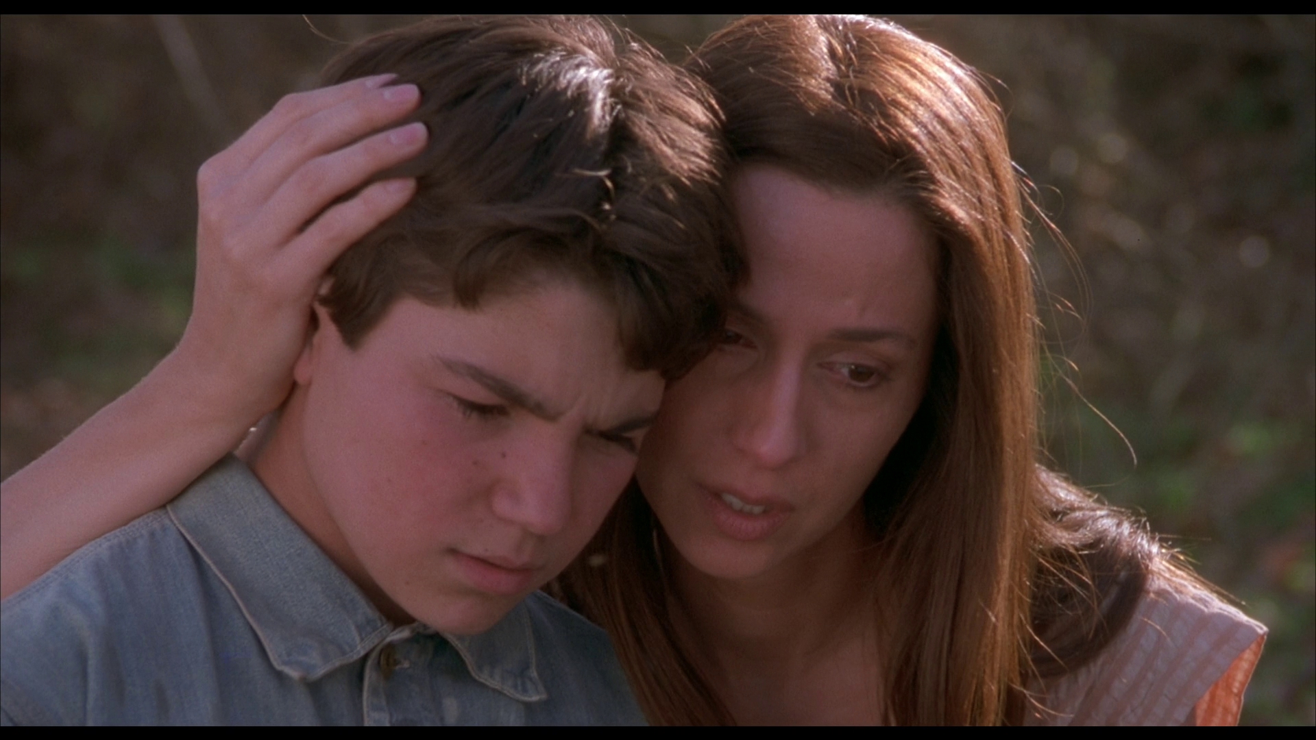 红色羊齿草的故乡剧照的剧照