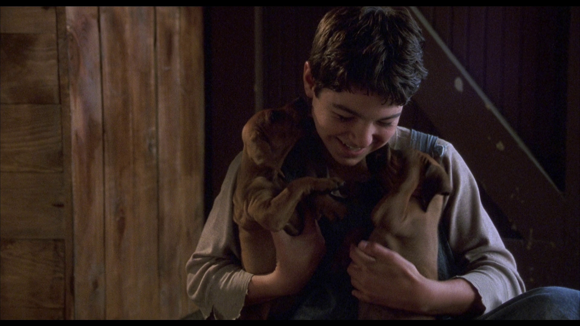 红色羊齿草的故乡剧照的剧照