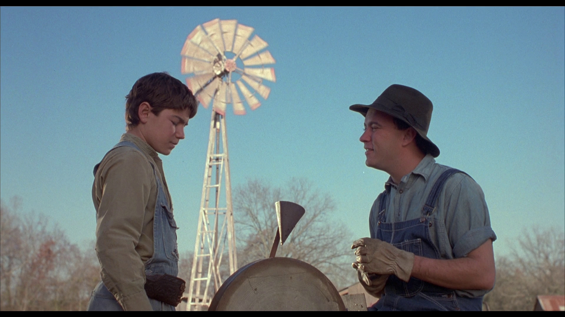 红色羊齿草的故乡剧照的剧照