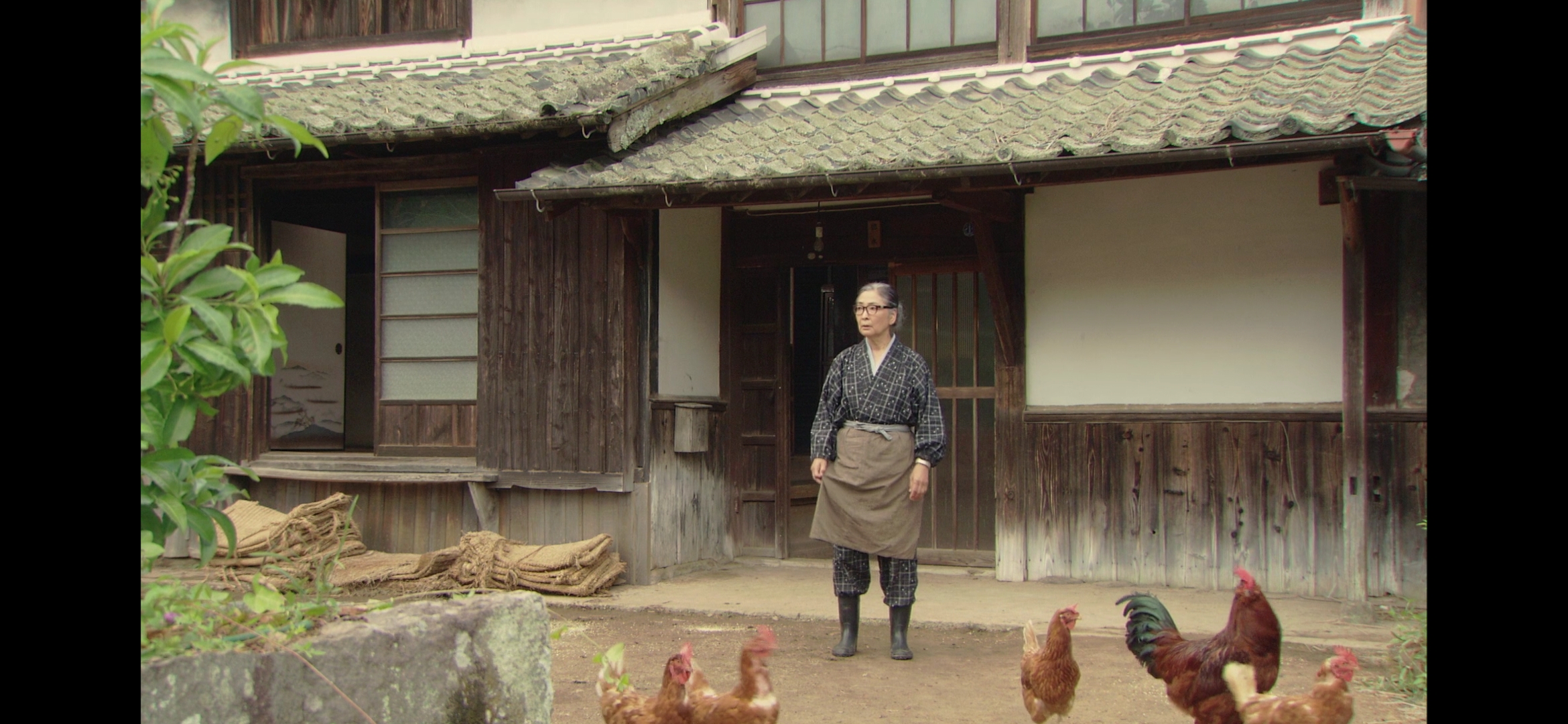 岛田洋七的佐贺外婆剧照的剧照