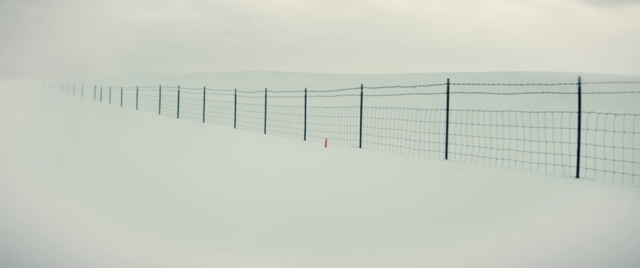 宝藏猎人久美子剧照的剧照