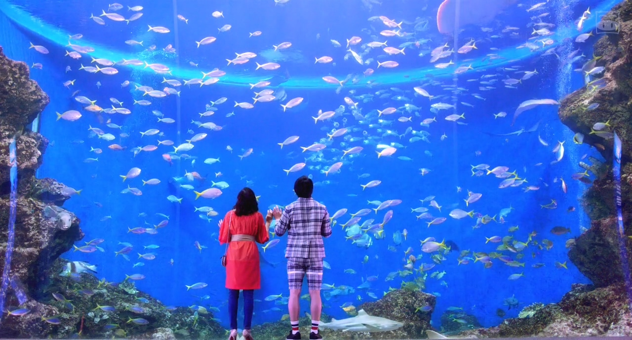 爱之证剧照的剧照