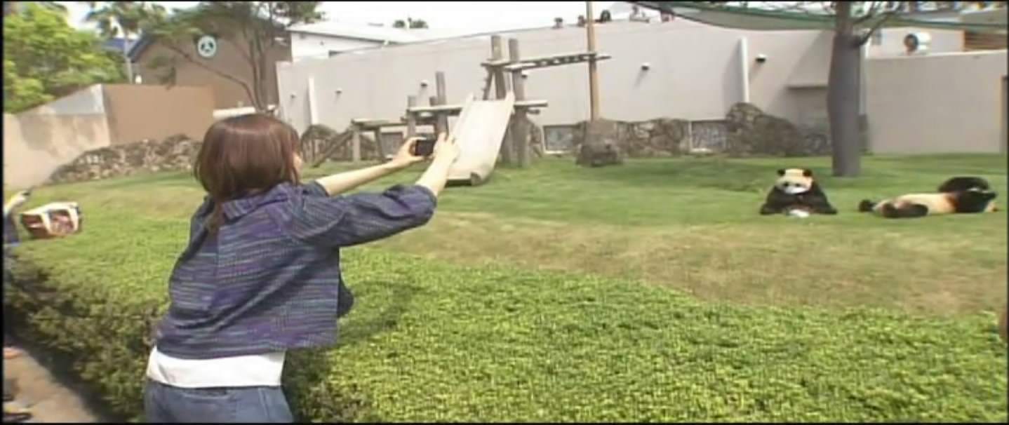 大熊猫的生活剧照的剧照