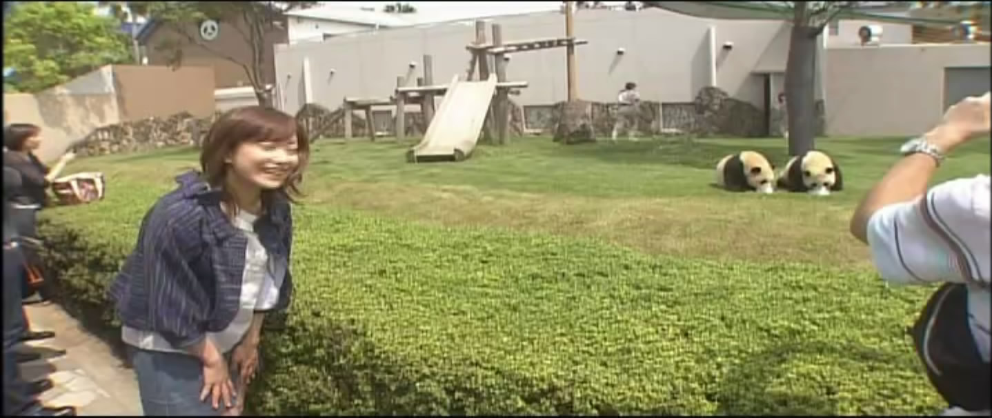 大熊猫的生活剧照的剧照