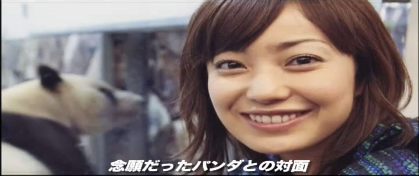 大熊猫的生活剧照的剧照