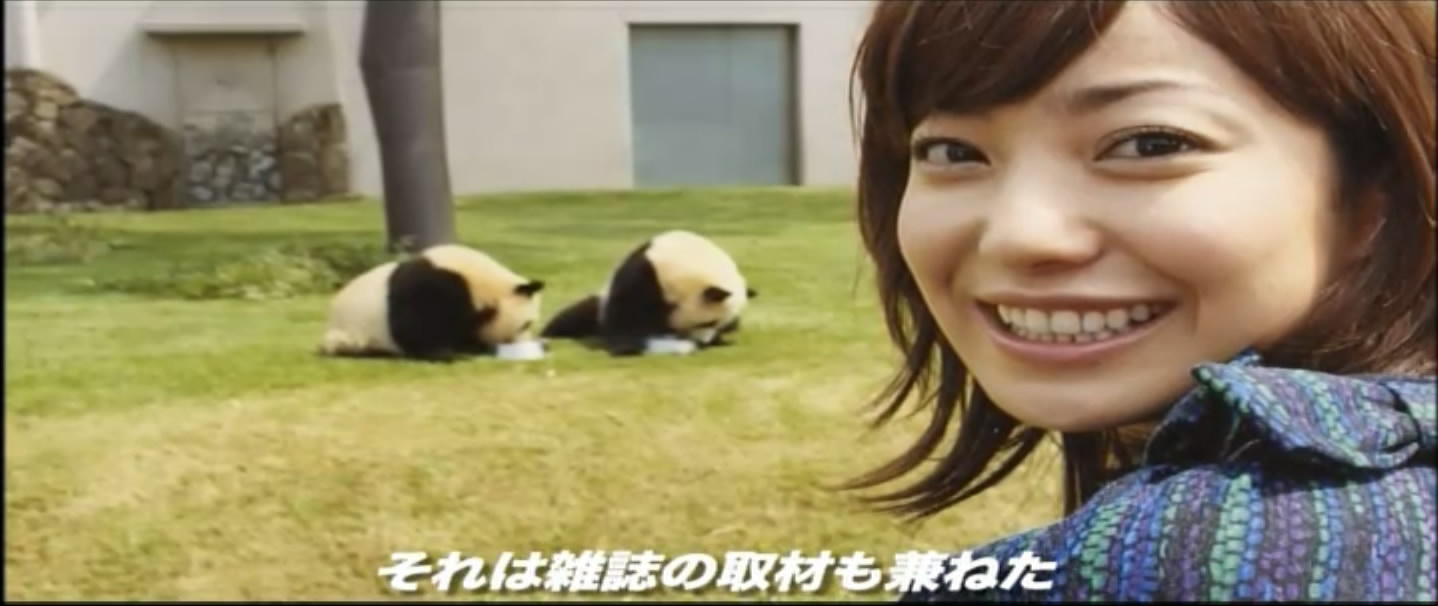 大熊猫的生活剧照的剧照