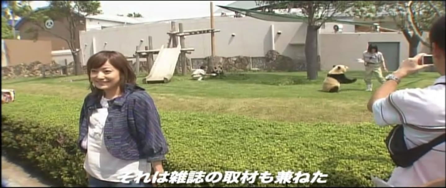 大熊猫的生活剧照的剧照