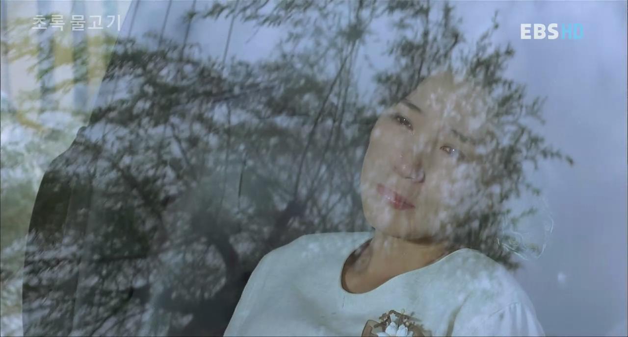 绿鱼剧照的剧照