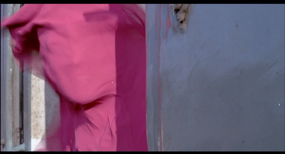 绿鱼剧照的剧照