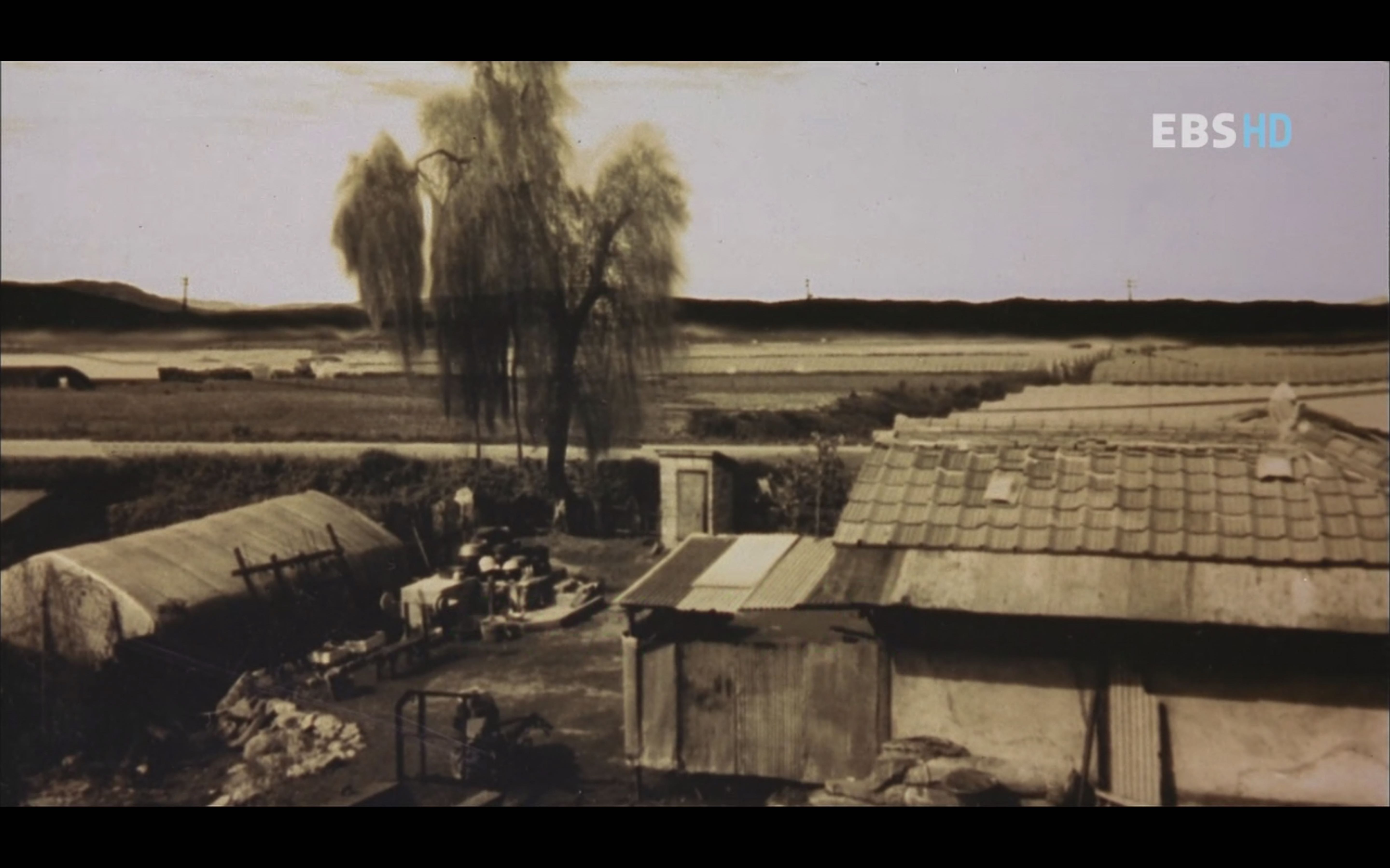 绿鱼剧照的剧照