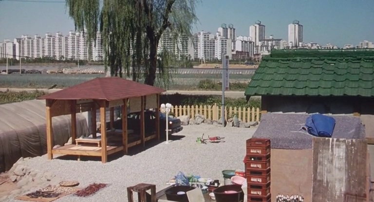 绿鱼剧照的剧照