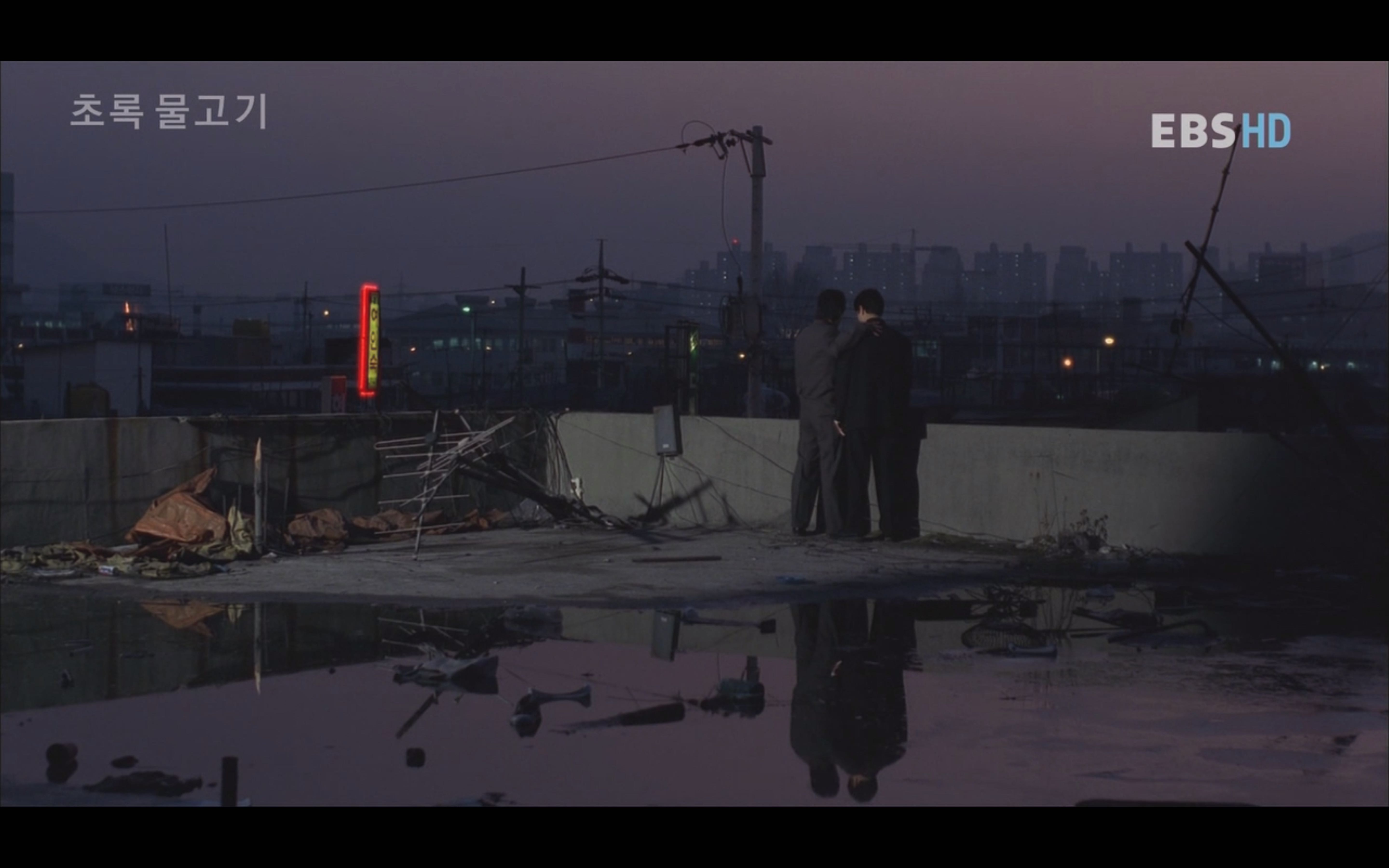 绿鱼剧照的剧照