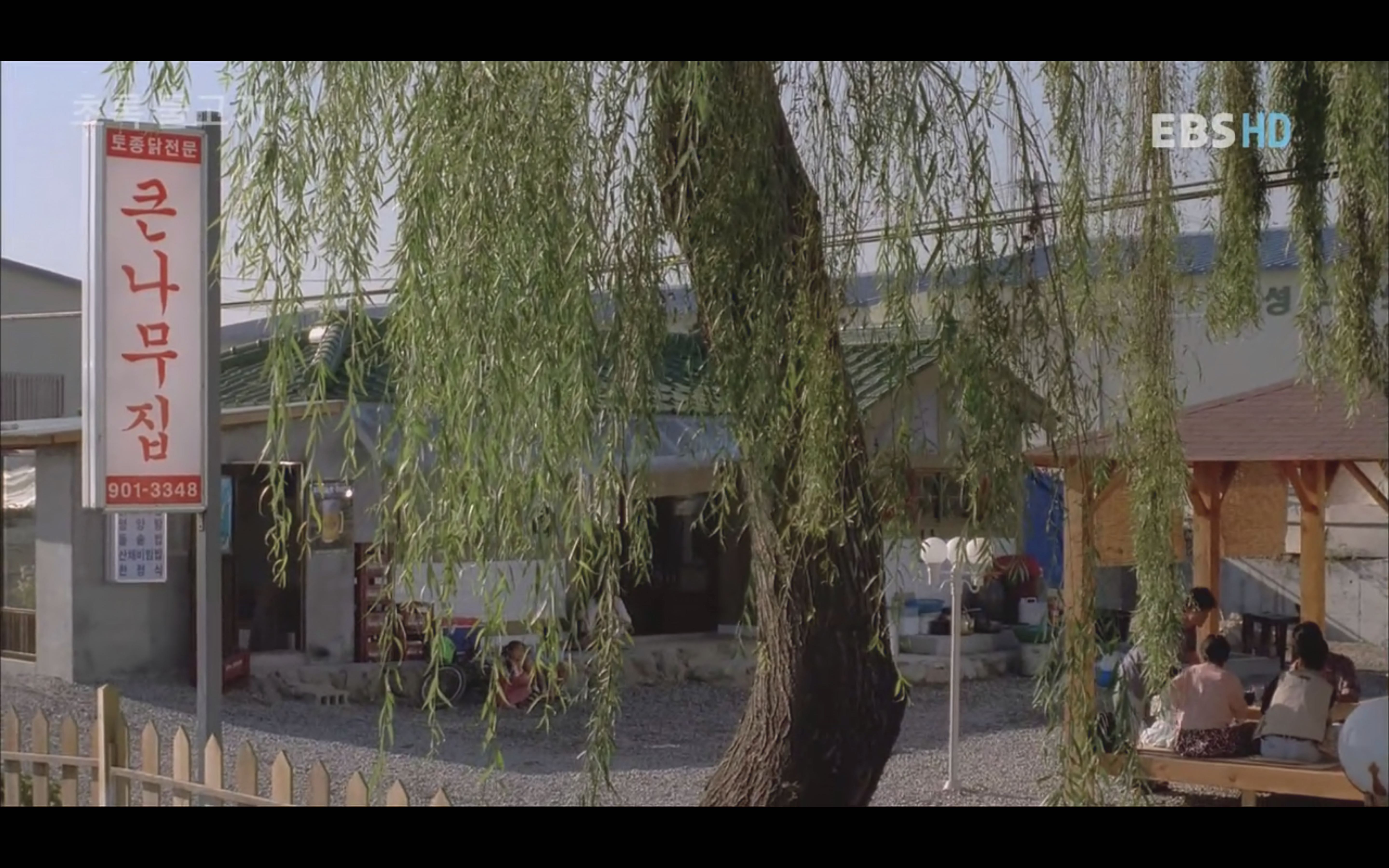 绿鱼剧照的剧照