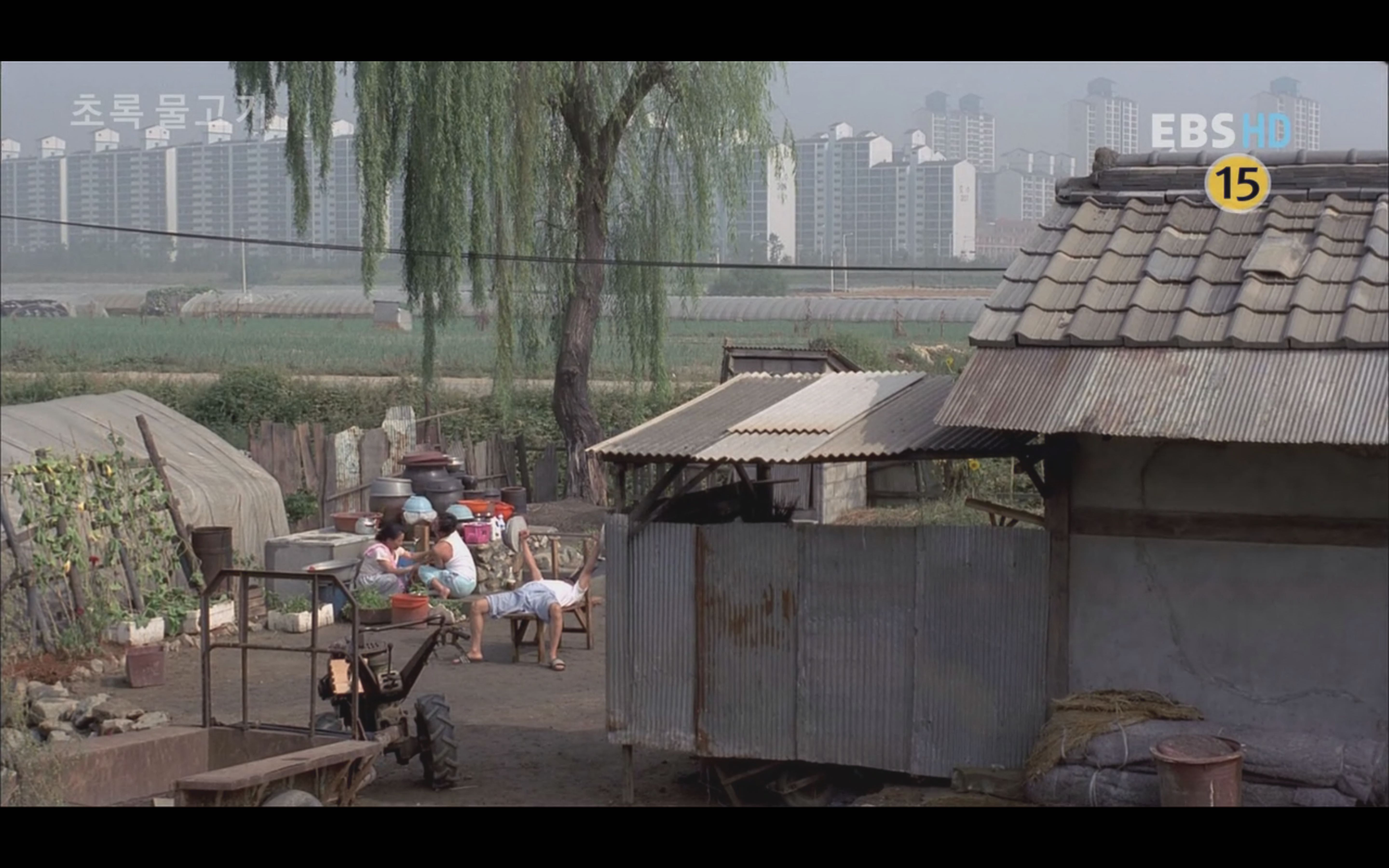 绿鱼剧照的剧照