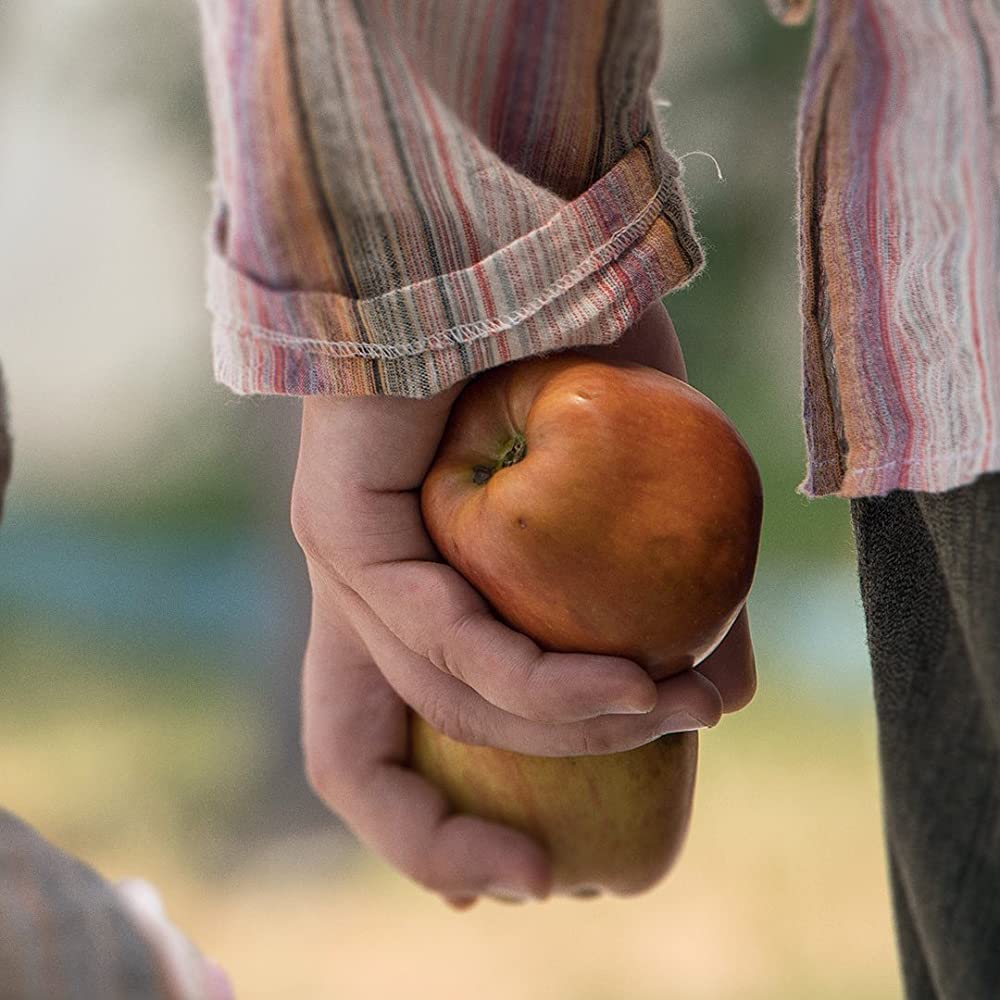 7号房的礼物(土耳其版)剧照的剧照