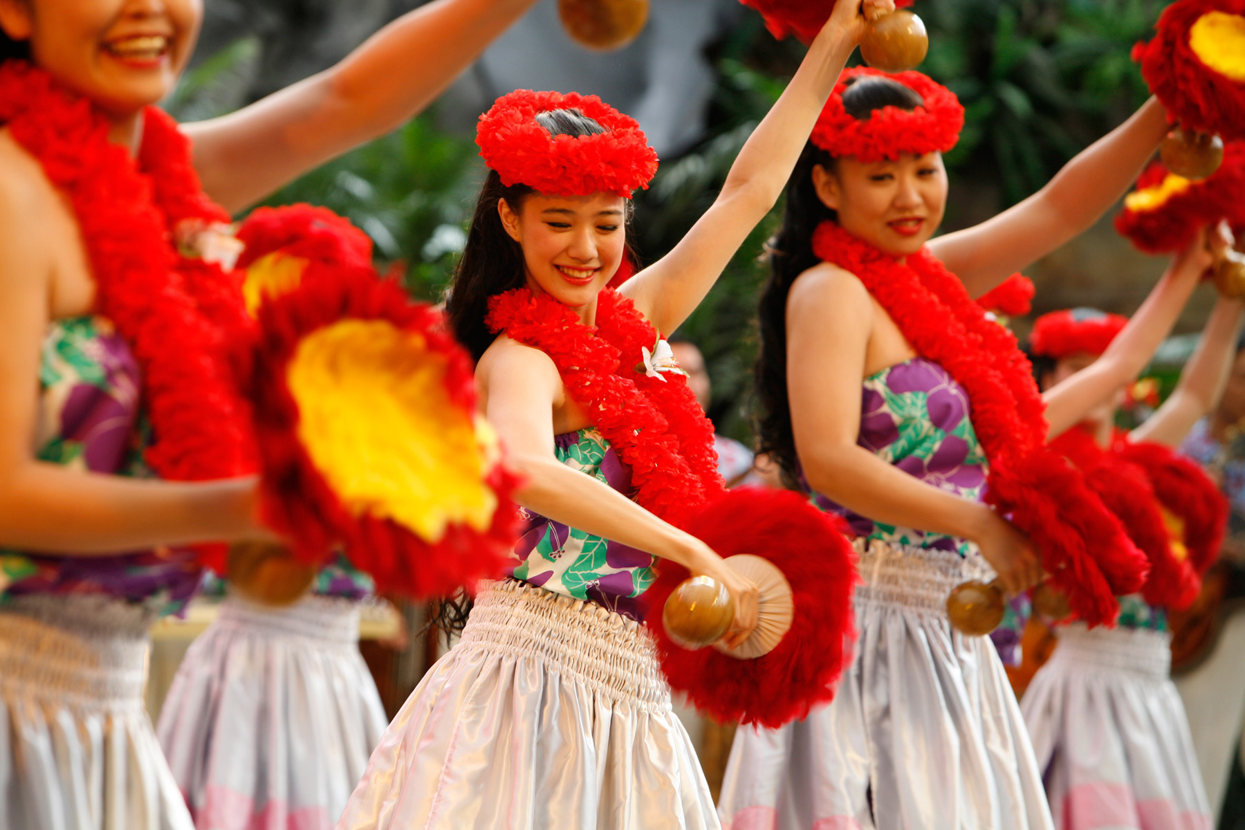 扶桑花女孩剧照的剧照