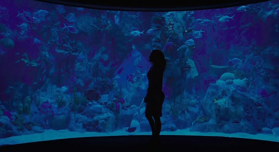 边城小镇剧照的剧照