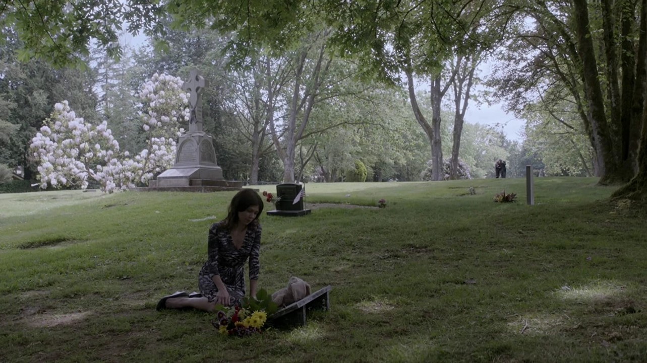 谎言的摇篮剧照的剧照