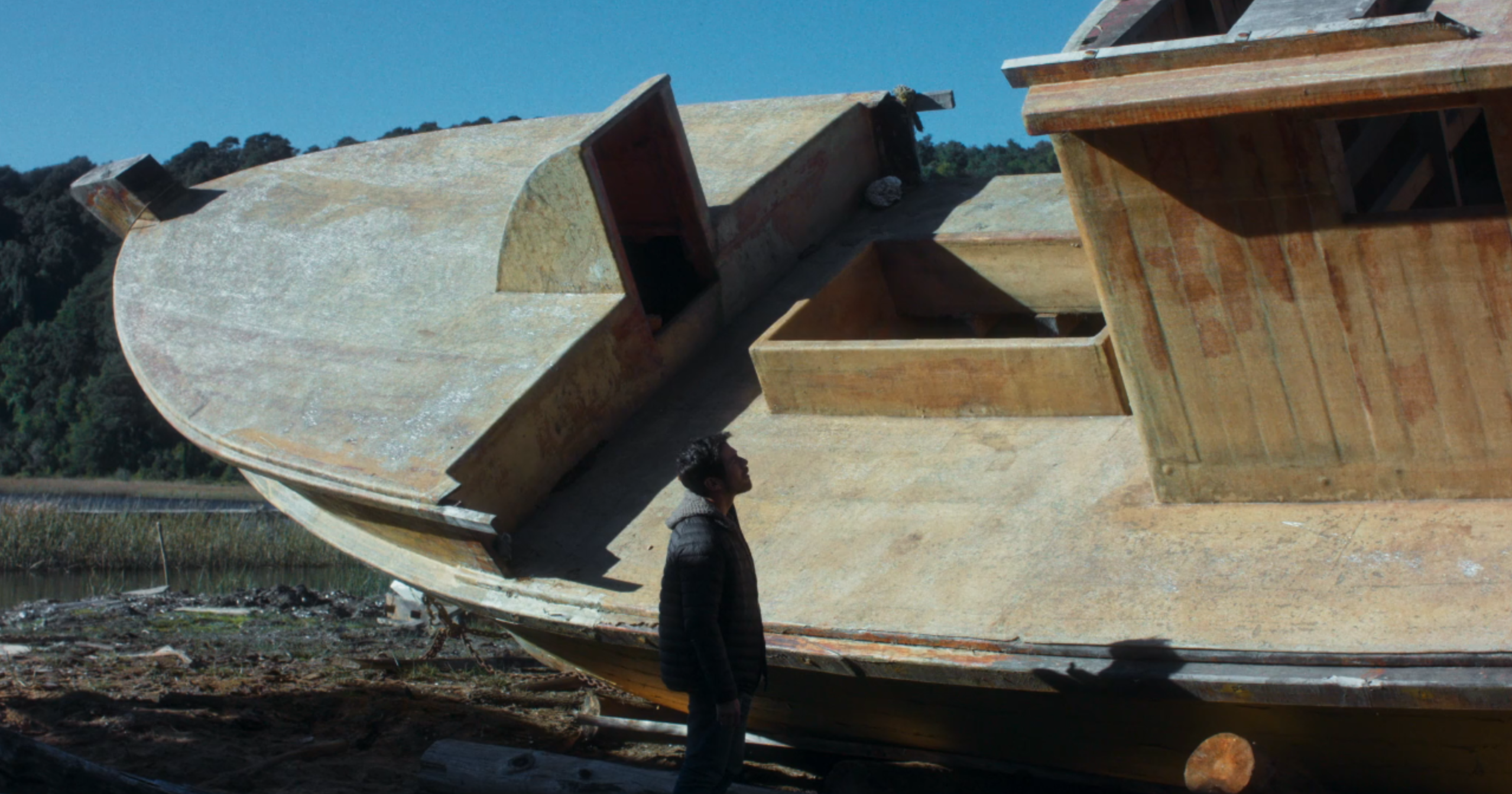 要强的人剧照的剧照