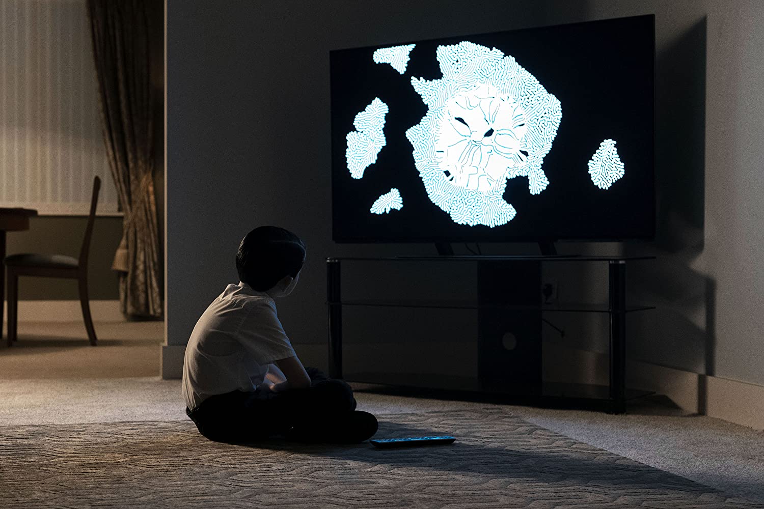 生态箱剧照的剧照