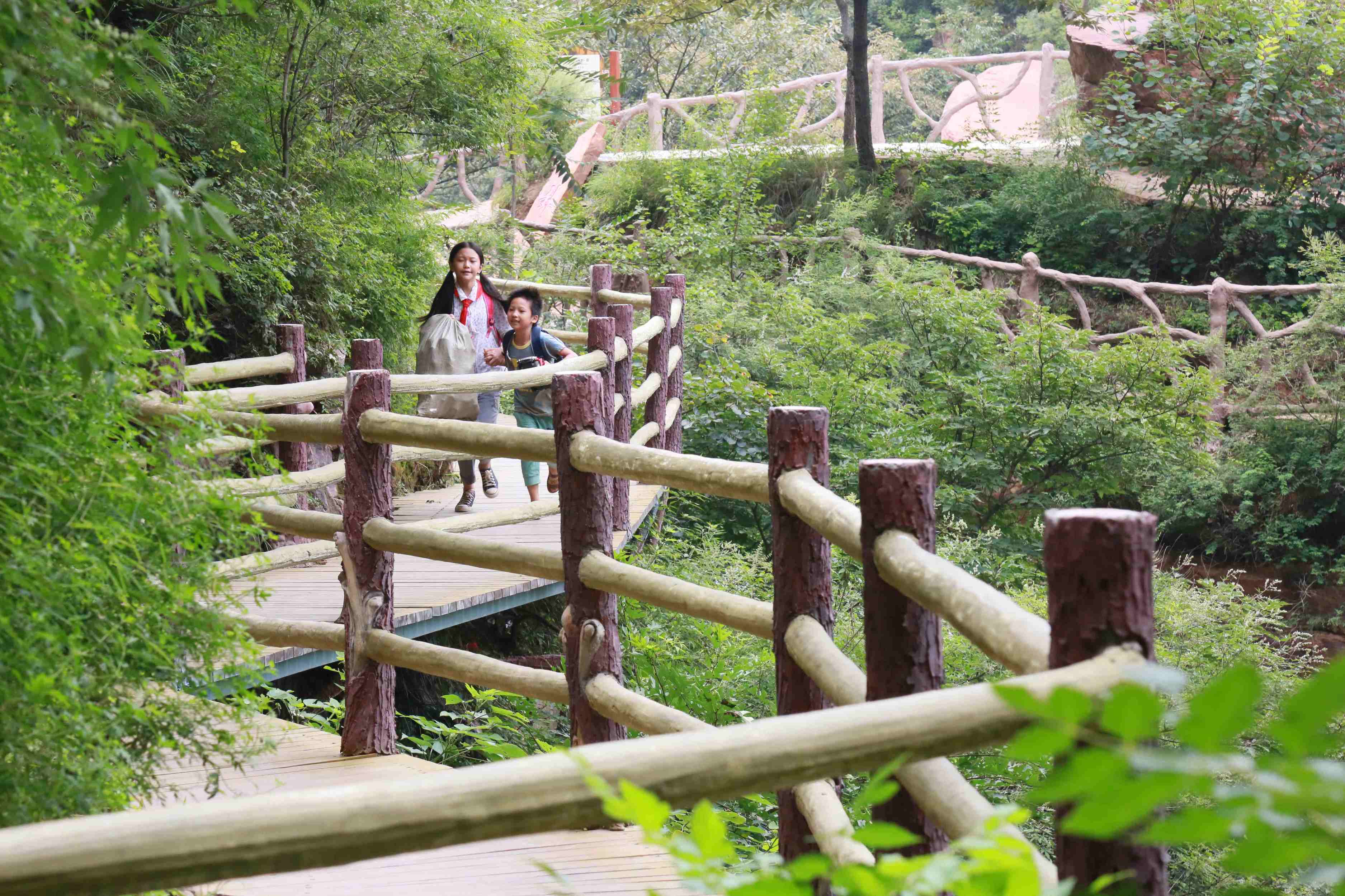 小轿车剧照的剧照