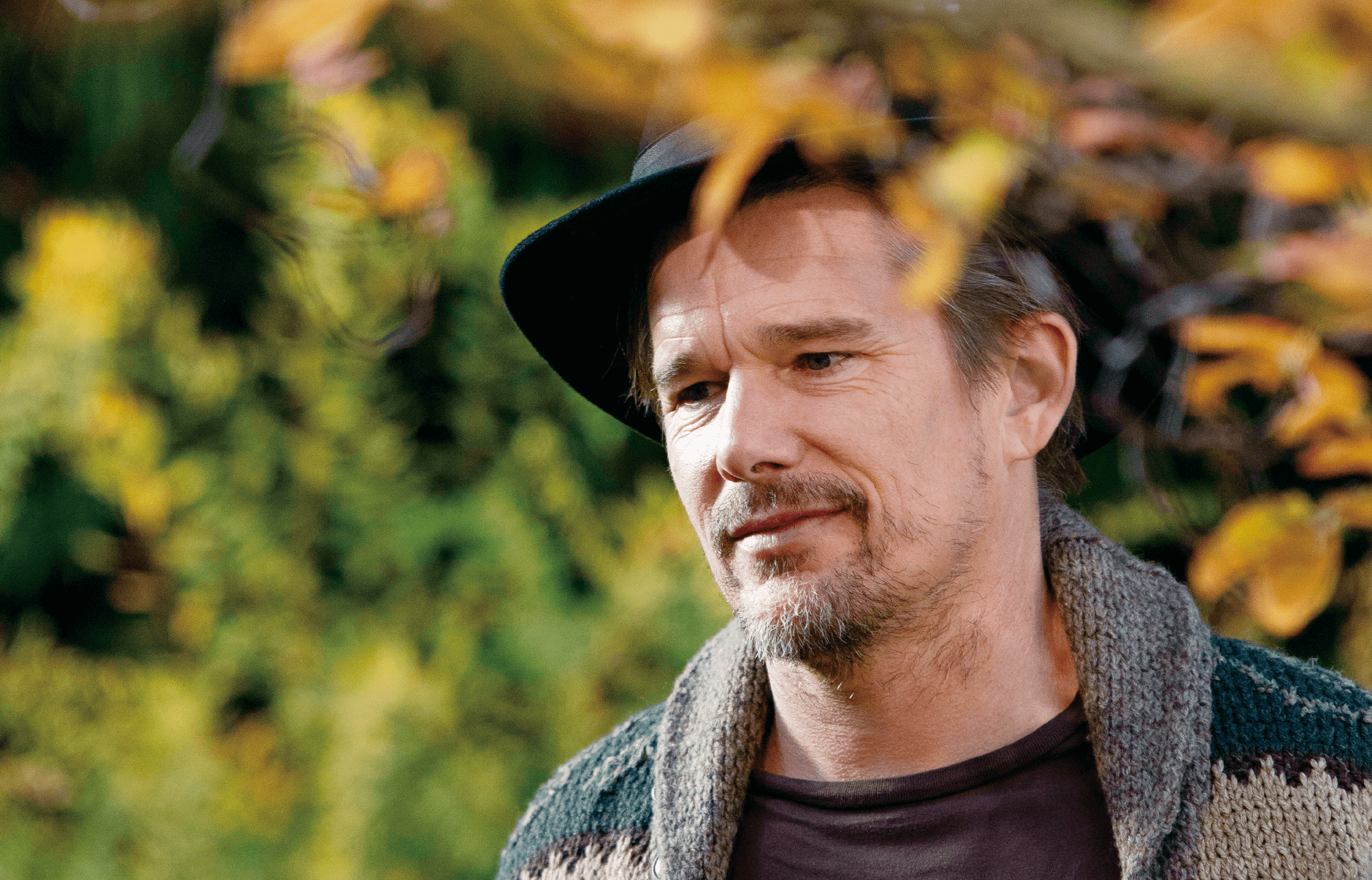 真相剧照的剧照