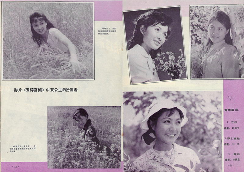 玉碎宫倾剧照的剧照