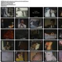 我可爱的烫伤老哥和他的碎脑剧照