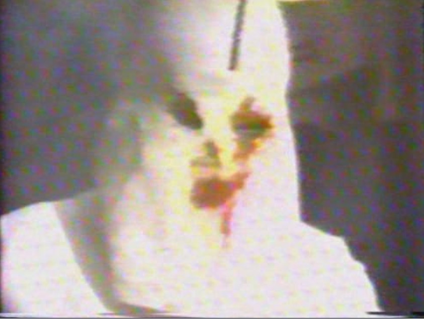 我可爱的烫伤老哥和他的碎脑剧照的剧照