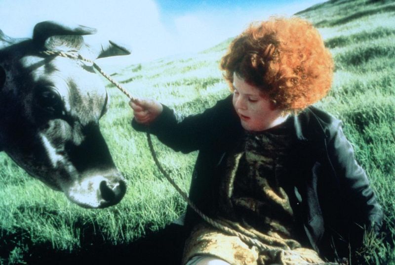 天使与我同桌剧照的剧照