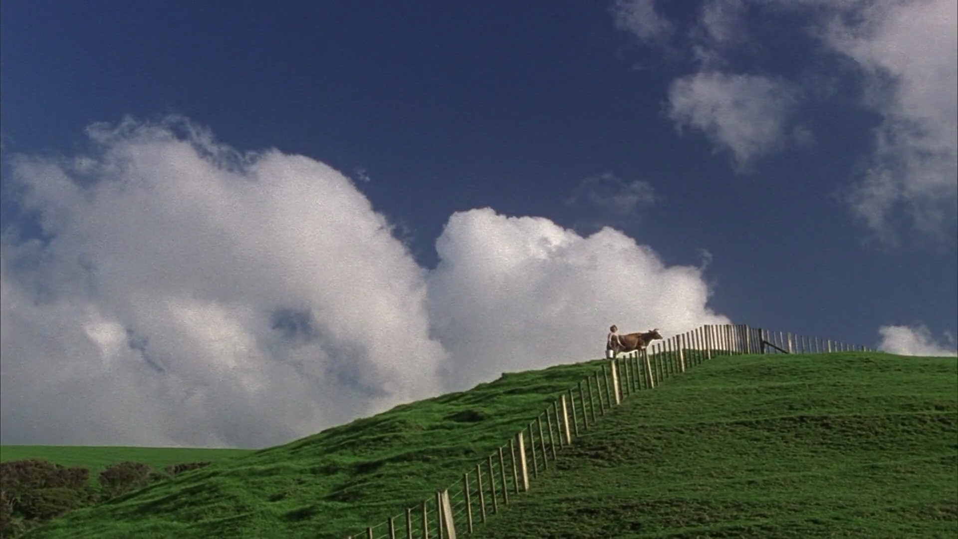 天使与我同桌剧照的剧照