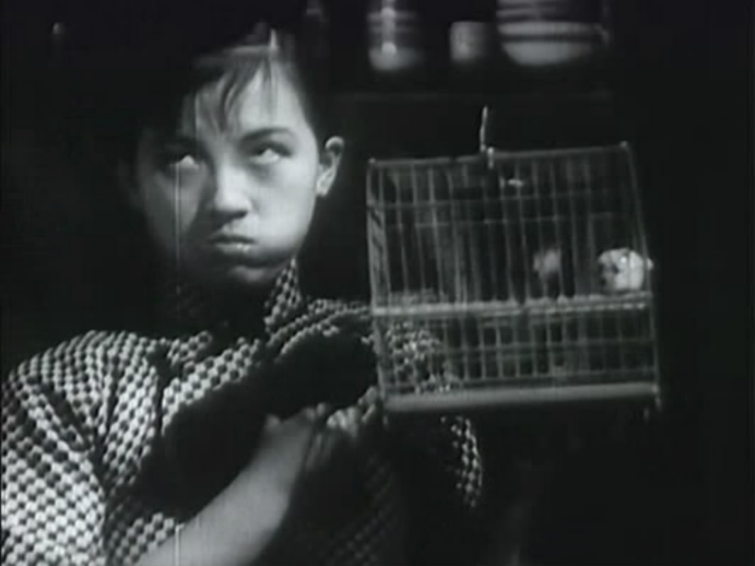 马路天使剧照的剧照