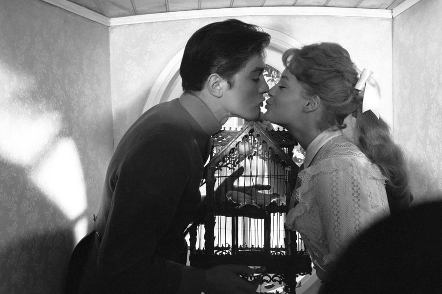 花落断肠时剧照的剧照