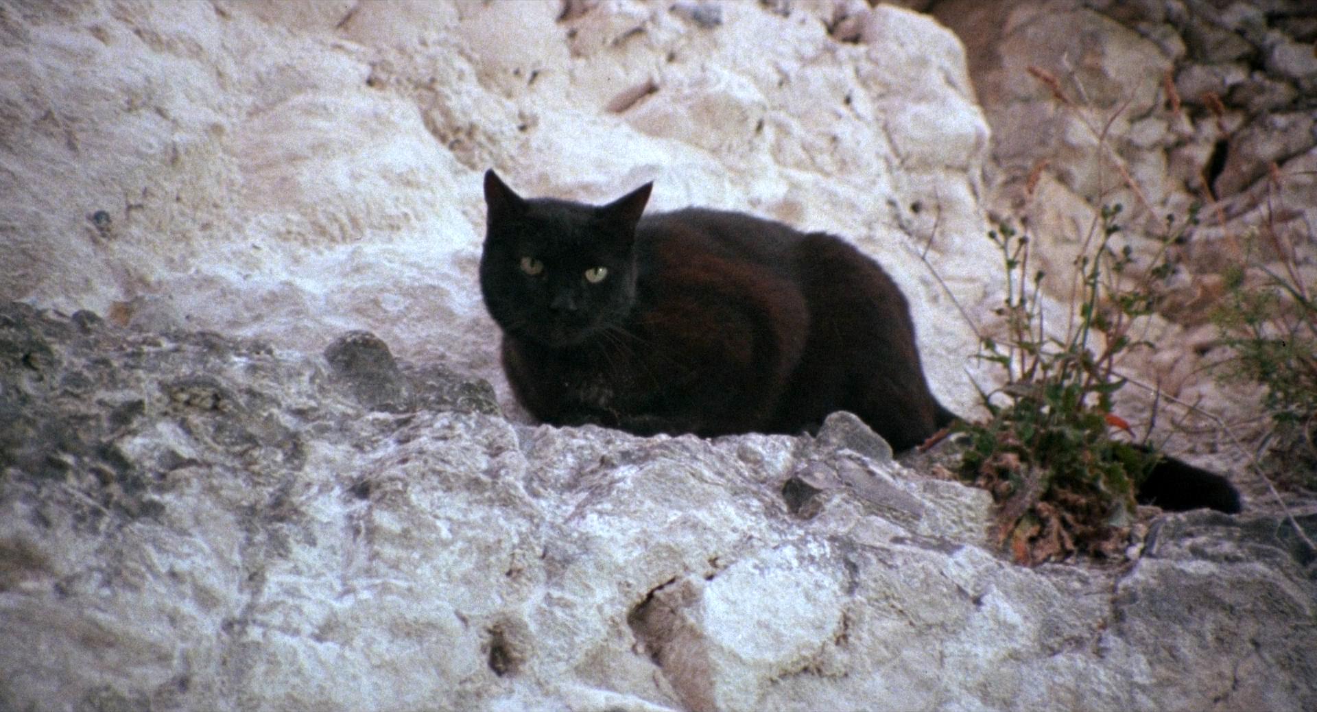 猛鬼故事剧照的剧照