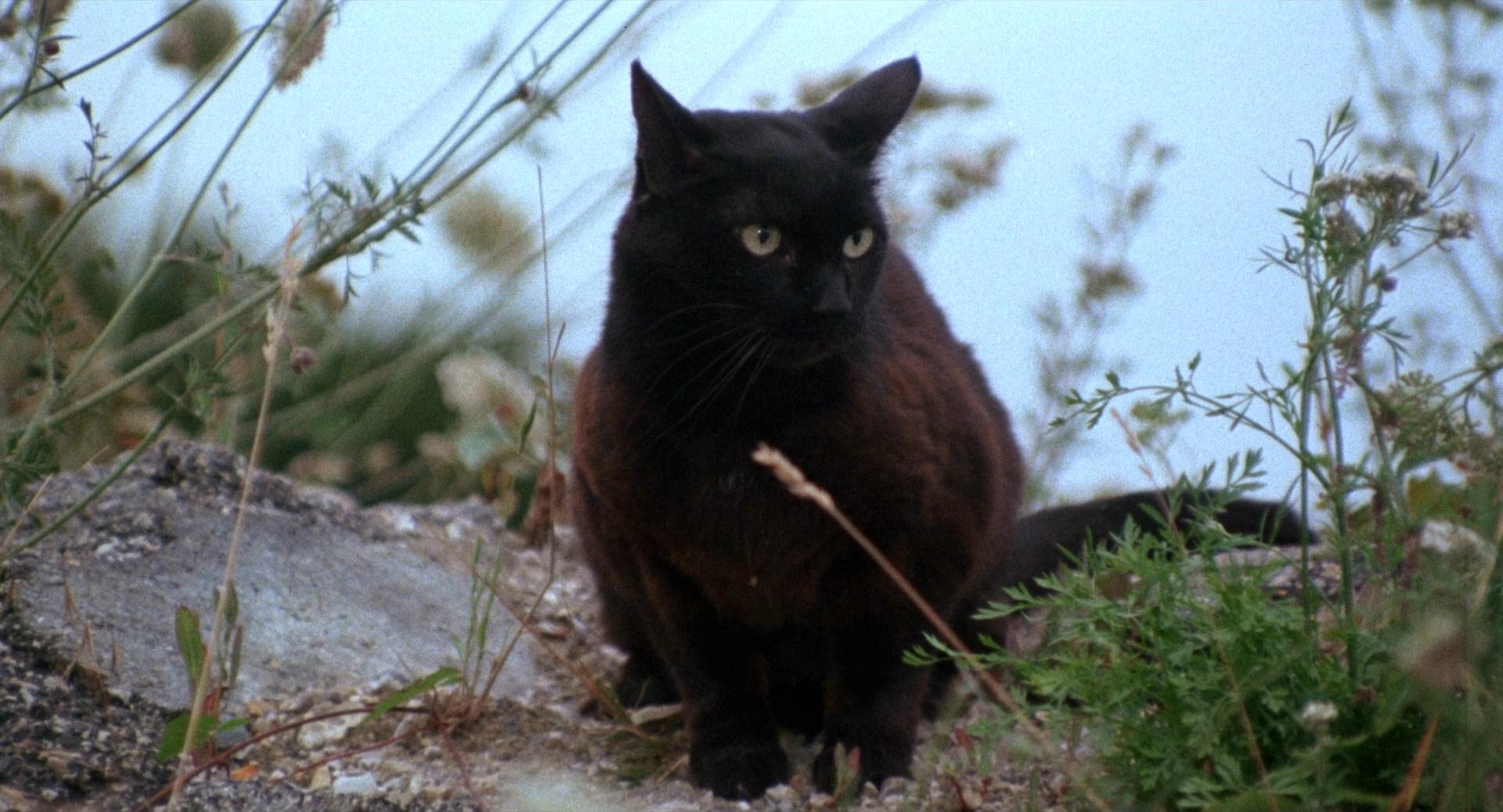 猛鬼故事剧照的剧照