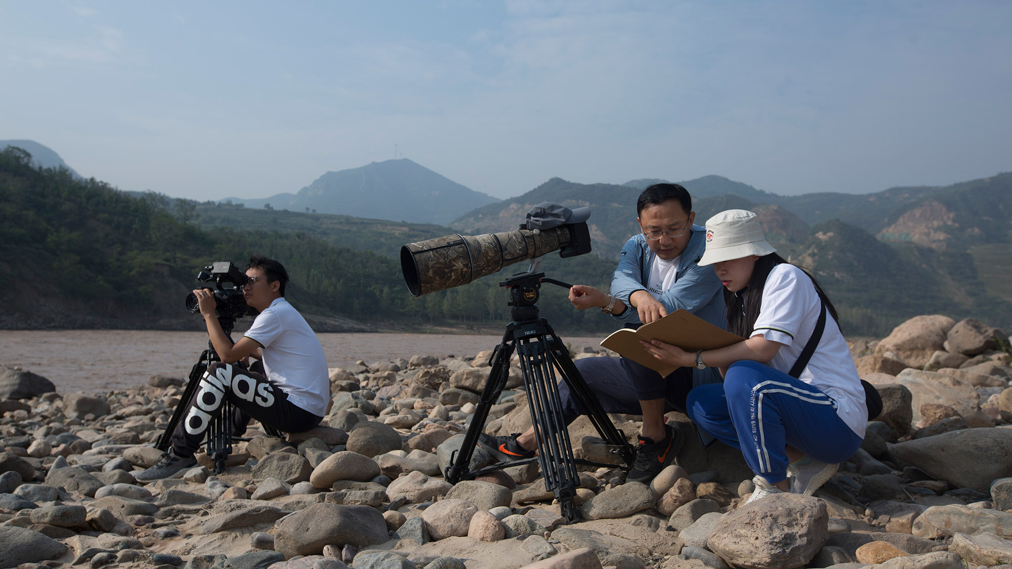 鹭世界剧照的剧照