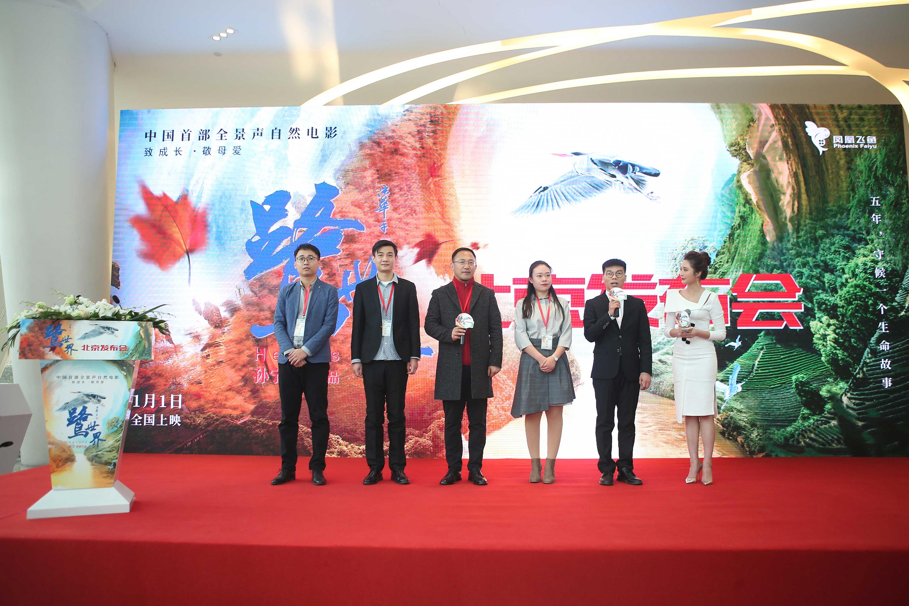 鹭世界剧照的剧照