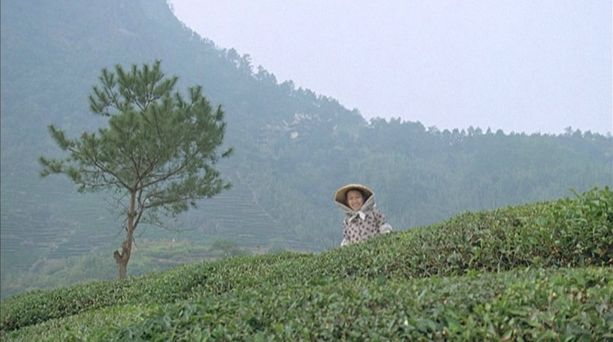 新鲁冰花：孩子的天空剧照的剧照