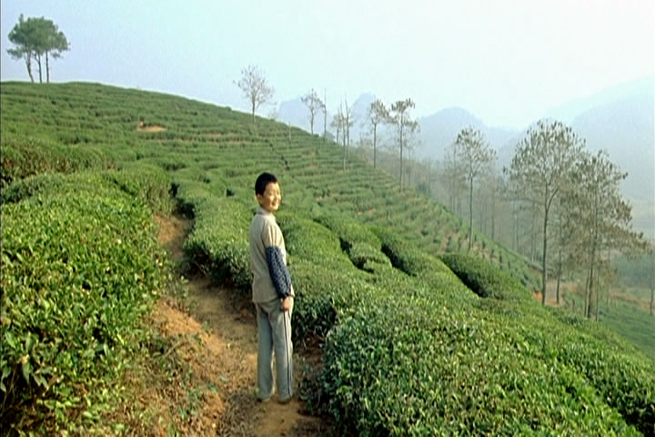 新鲁冰花：孩子的天空剧照的剧照