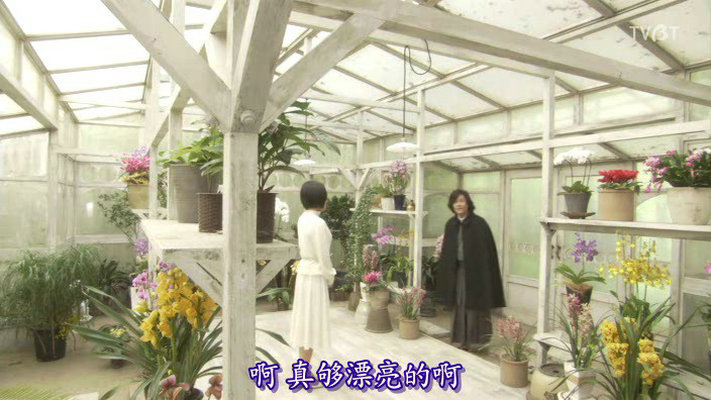 恶魔吹着笛子来剧照的剧照