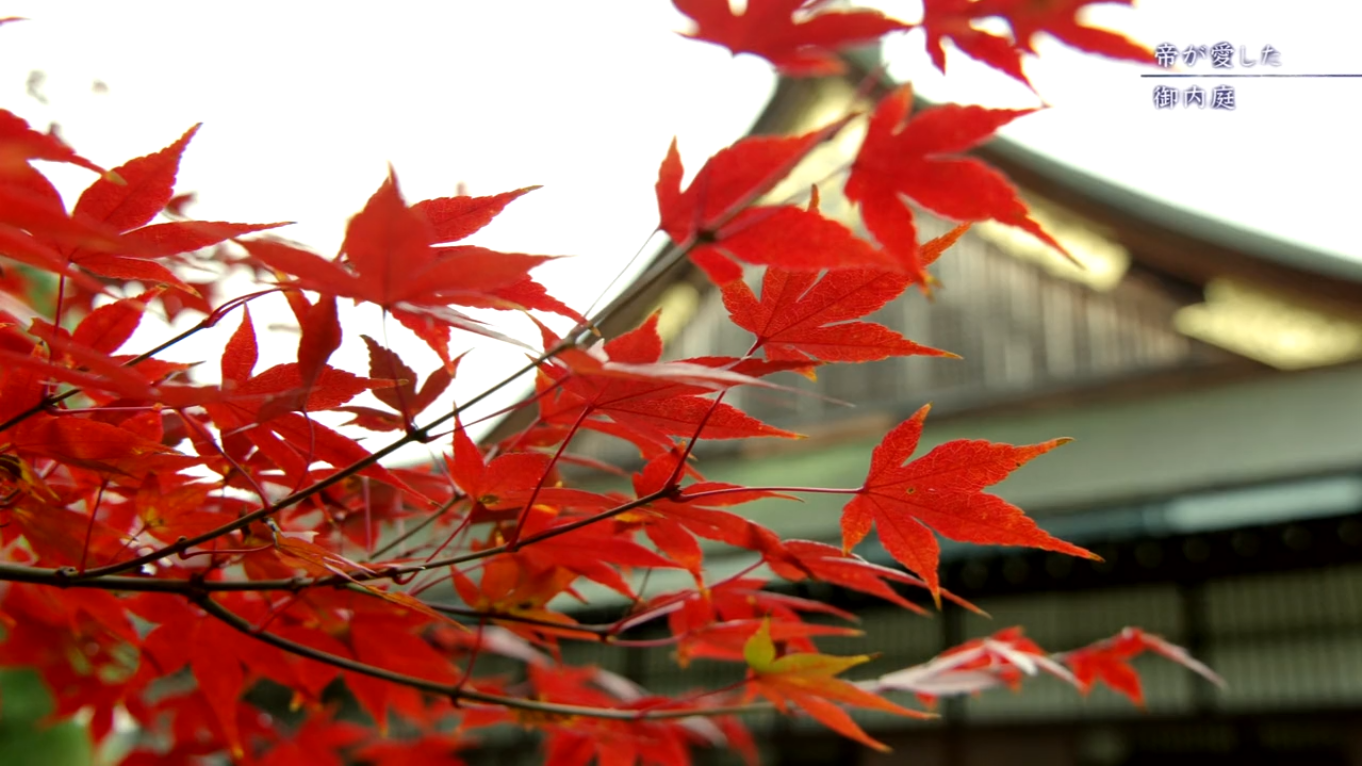 京都御所：不为人知的千年之美剧照的剧照