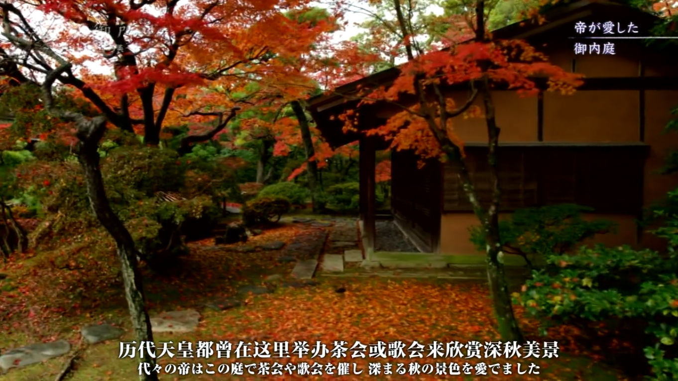 京都御所：不为人知的千年之美剧照的剧照