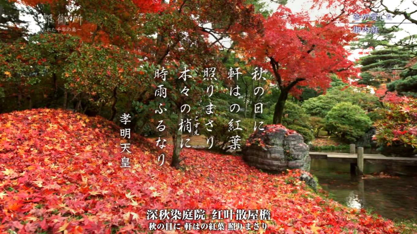 京都御所：不为人知的千年之美剧照的剧照